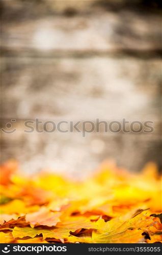Autumn border from fallen maple leaves on old wooden background. Very shallow depth of field
