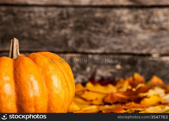 Autumn border from pumpkin and maple leaves on wooden background