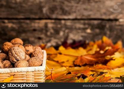 Autumn border from walnuts and maple leaves on wood