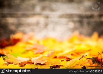 Autumn border from yellow maple leaves on old wooden background. Very shallow depth of field
