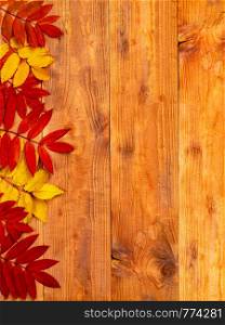 Autumn border made of leaves on wooden background