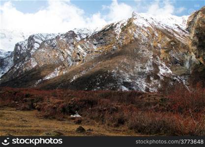 Autumn bush and snow mountain near Samdo in Nepal