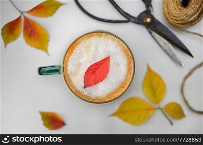 Autumn Cafe Latte Cup from Above