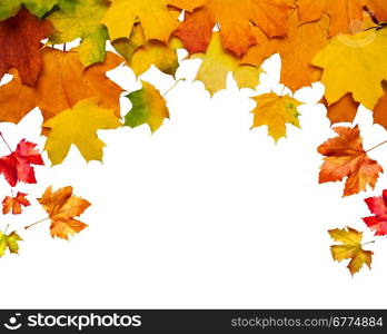 Autumn card of colored falling leafs isolated on white background