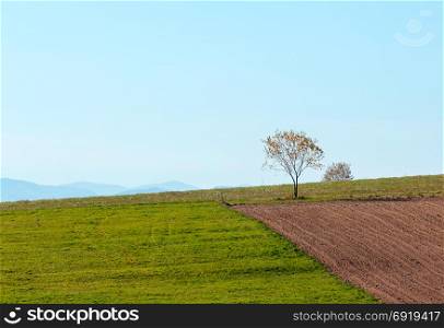 Autumn Carpathian hill landscape (Ivano-Frankivsk oblast, Ukraine). Rural scene with field.