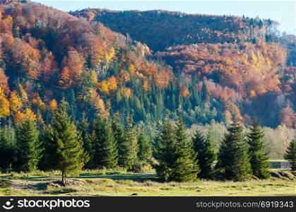 Autumn Carpathian Mountains landscape (Ivano-Frankivsk oblast, Ukraine).
