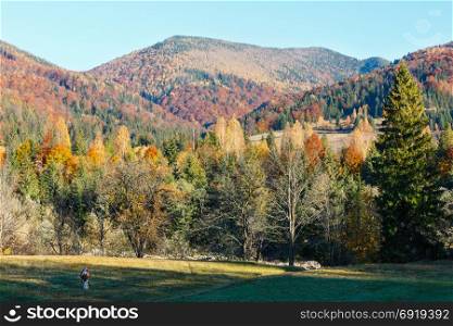 Autumn Carpathian Mountains landscape (Ivano-Frankivsk oblast, Ukraine). Rural scene.