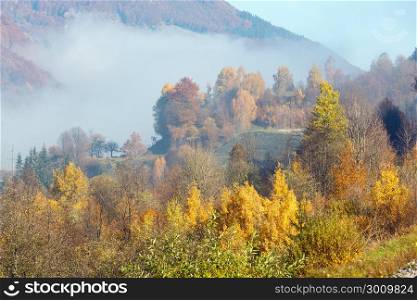 Autumn Carpathian Mountains landscape with multicolored trees and small hamlet on slope, and misty cloud over (Rakhiv district, Transcarpathia, Ukraine).