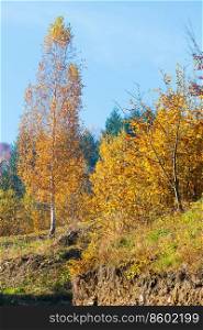 Autumn Carpathian Mountains landscape with multicolored trees on slope  Rakhiv district, Transcarpathia, Ukraine .