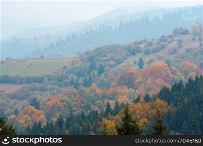 Autumn Carpathian Mountains misty landscape (Mizhhiria, Zakarpattia Oblast, Ukraine).