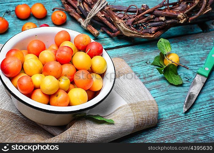 autumn cherry plum. Iron bowl with autumn plums on wooden background
