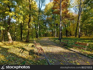 Autumn city park with footpath and benches.