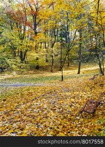 Autumn city park with paths strewn with yellow leaves and bench.