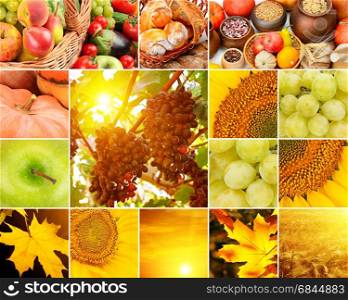 Autumn collage of fruits, vegetables, yellow leaves. Wide format. Four photos for skinali.