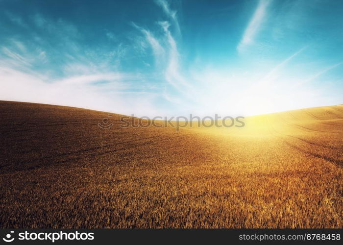 Autumn color grass and blue sky. Nature background