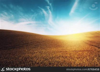 Autumn color grass and blue sky. Nature background