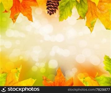 Autumn colored falling leafs
