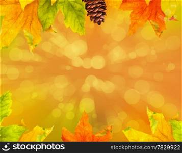 Autumn colored falling leafs