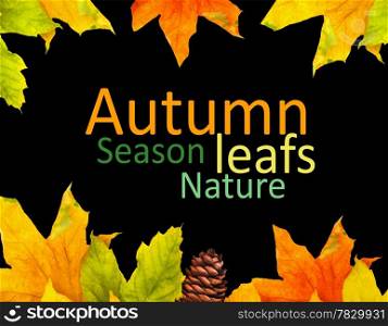 Autumn colored falling leafs isolated on white background
