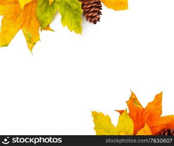 Autumn colored falling leafs isolated on white background
