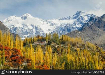 Autumn colorful foliage in Hunza valley with snow capped mountains in Karakoram range in the background. Gilgit Baltistan, Pakistan.