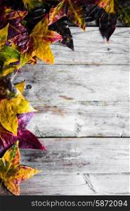 Autumn colorful leaves on rustic wooden background
