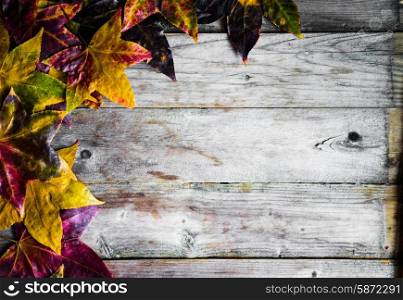 Autumn colorful leaves on rustic wooden background