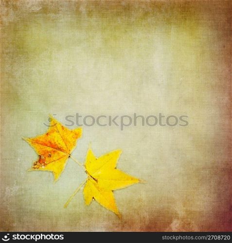 Autumn colorful maple leaf on grungy background. Textured effect.