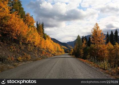 Autumn colors along British Columbia road