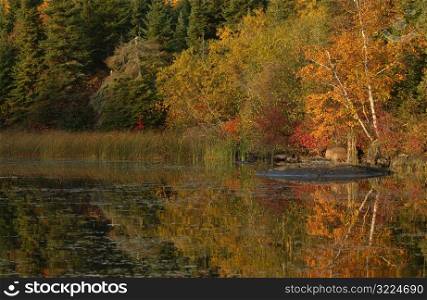 Autumn Colors at Lake of the Woods Ontario Canada