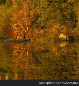 Autumn Colors at Lake of the Woods Ontario Canada