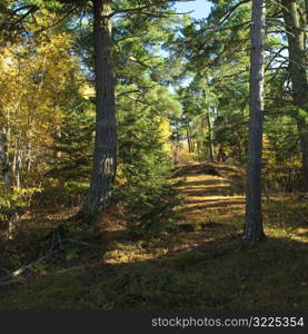 Autumn Colors at Lake of the Woods Ontario Canada