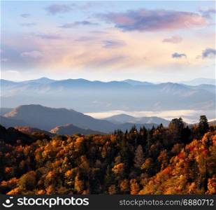 Autumn colors at Smoky Mountains. Great Smoky Mountains National Park, USA