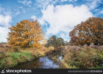 Autumn colors by a small river in the fall with trees along the bend