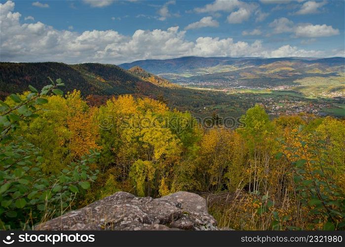 autumn colors in the forest of the vosges mountains in france