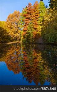 Autumn colors on the lake. Autumnal Park. Autumn Trees