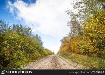 Autumn colors on trees by the roadside of a dirt trail in the fall under a blue sky with white clouds