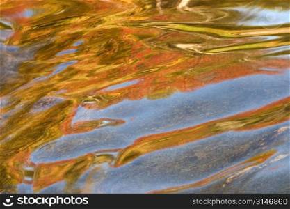 Autumn Colors Reflected In Shallow Water