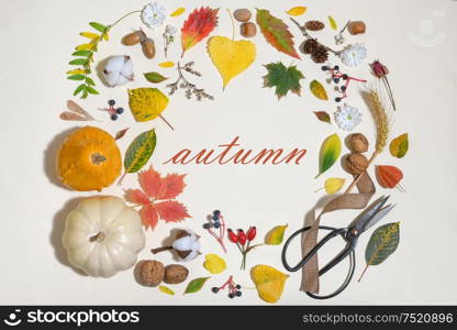 Autumn Colourful Leaves A In Circle Frame Isolated