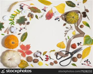 Autumn Colourful Leaves And Frame Isolated