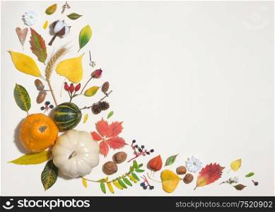 Autumn Colourful Leaves In Frame Isolated