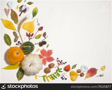 Autumn Colourful Leaves In Frame Isolated