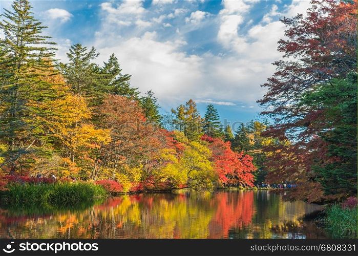 Autumn colours of Kumoba pond,Karuizawa,Japan