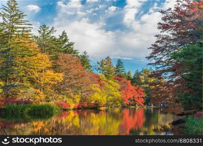 Autumn colours of Kumoba pond,Karuizawa,Japan