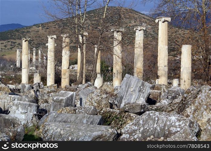 Autumn, columns and ruins of Aphrodisias, Turkey