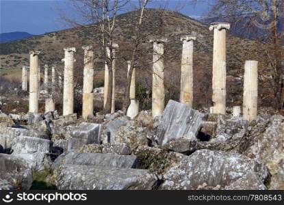 Autumn, columns and ruins of Aphrodisias, Turkey