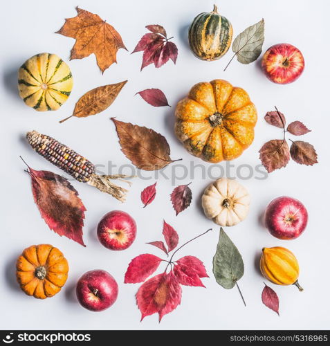 Autumn composing with pumpkin,corn , apples and leaves on light background, top view. Fall pattern made of natural organic farm products. Flat lay