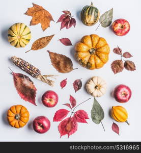 Autumn composing with pumpkin,corn , apples and leaves on light background, top view. Fall pattern made of natural organic farm products. Flat lay