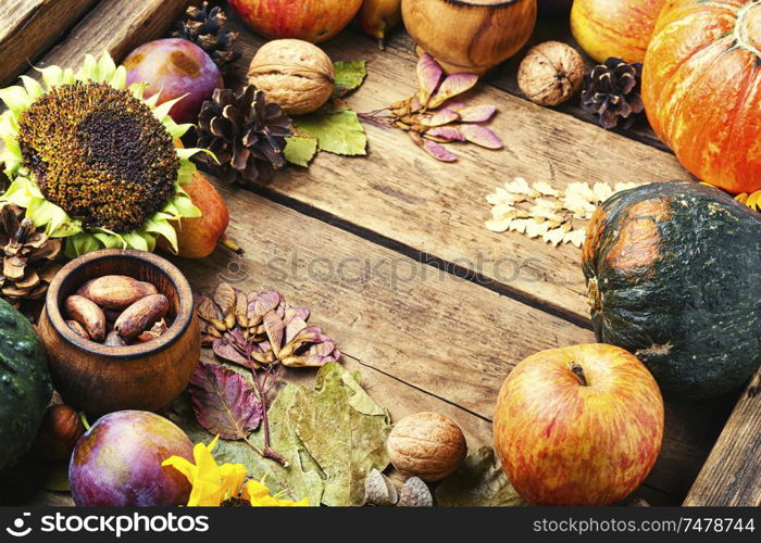 Autumn composing with pumpkin, fruit and fall leaves.Autumn background. Beautiful autumn composition