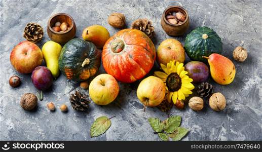 Autumn composing with pumpkin, fruit and fall leaves. Autumn fruit still life